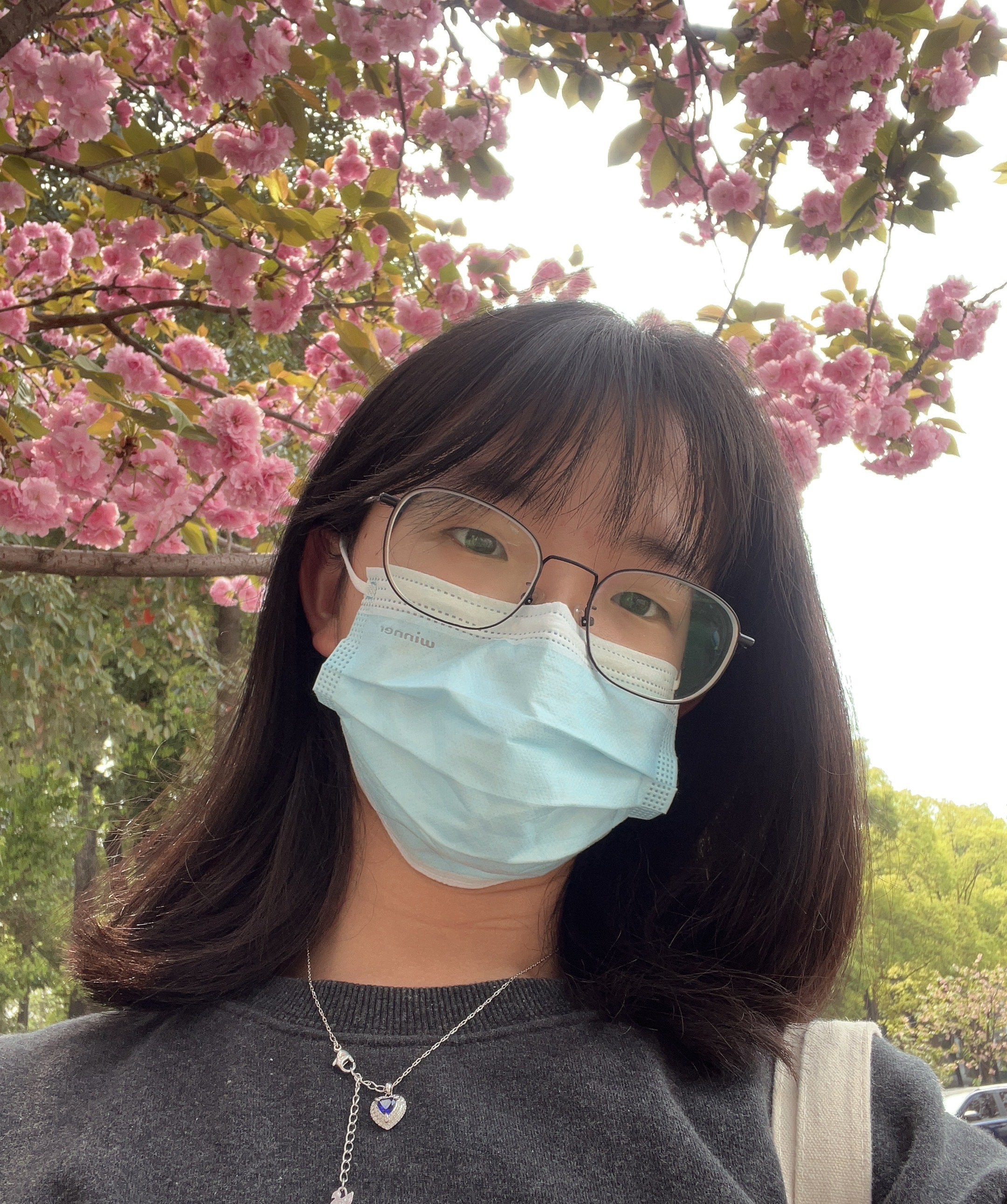 Jia Li